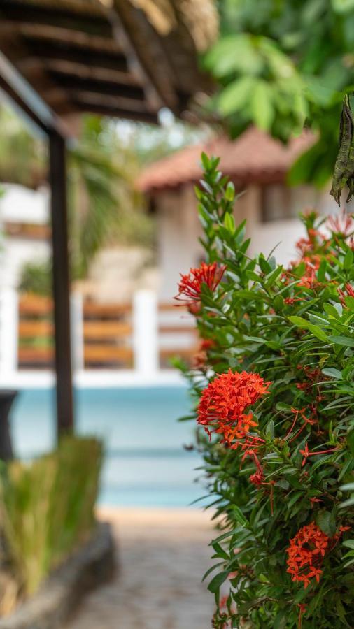 Hotel Luna Llena Tamarindo Esterno foto