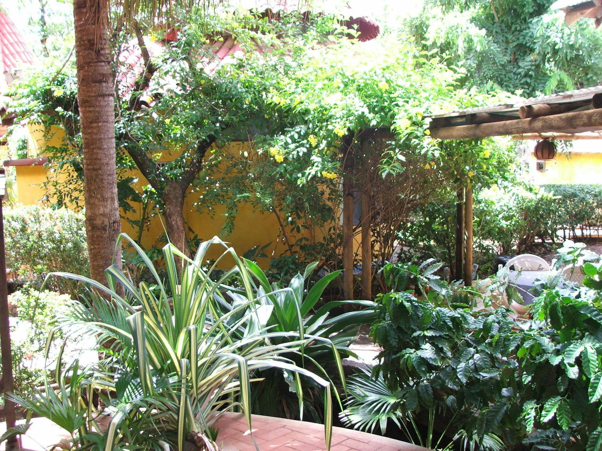 Hotel Luna Llena Tamarindo Esterno foto